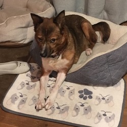 「調子が良くなってきたよ」サムネイル2