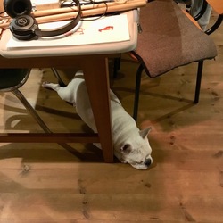 「調子が良くなってきたよ」サムネイル3