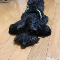 ハック