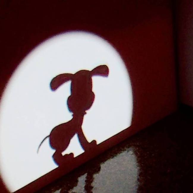 ゅーゅのカバー写真