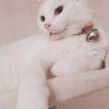 の写真