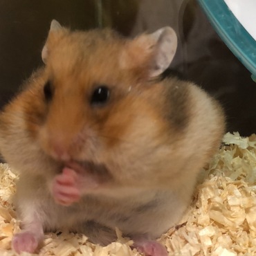 の写真