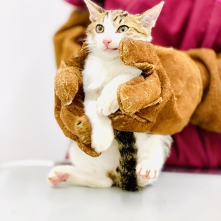 素敵な家族が見つかりました☆