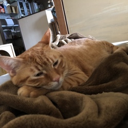 親バカゆえの…