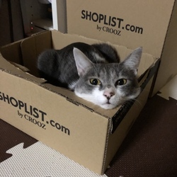 「親バカゆえの…」サムネイル2