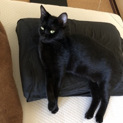 「親バカゆえの…」サムネイル3