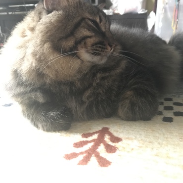 の写真