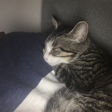 こまめちゃんの写真