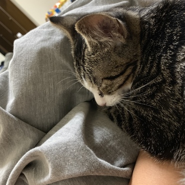 こまめちゃんの写真