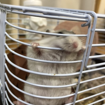 の写真