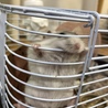 の写真