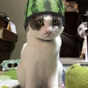 なつめろんK