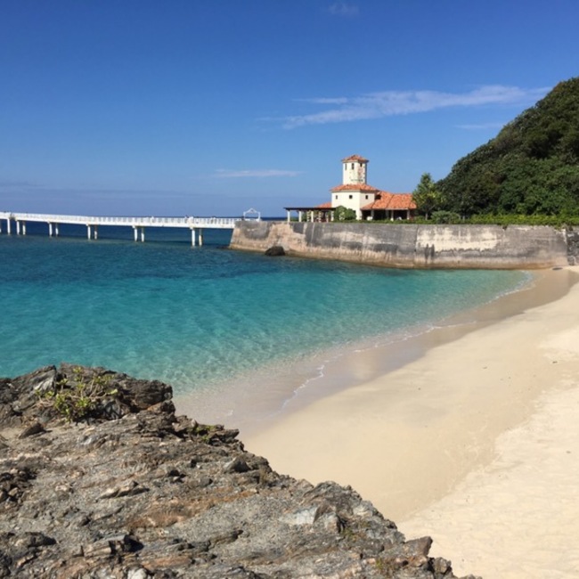 シューココのカバー写真