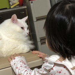 はじめての家族探し