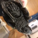 迷い亀（クサガメ）の里親募集