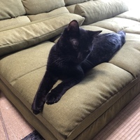 もうちゃん