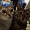 メグミ1208