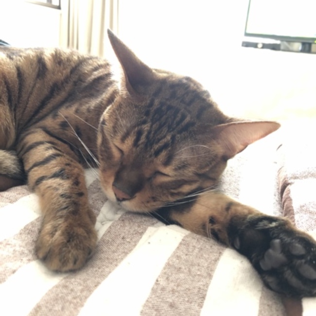 メグミ1208のカバー写真