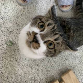 ありがとうございました