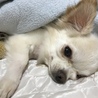 リラックスしている時の様子です。