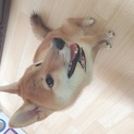 やんちゃな男の子