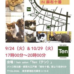 １０月２９日(火)　麻布十番ナイター里親会（ボランティアも募集中）