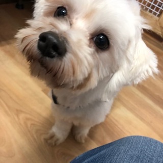 のんびり屋さん？な、しらすくん♪