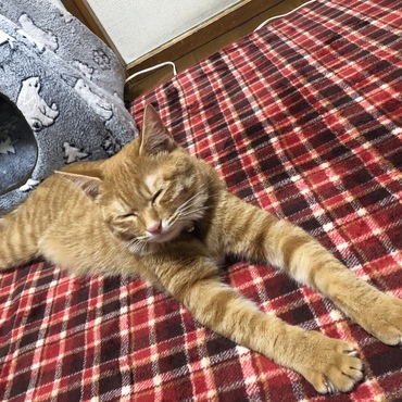 深堀歩実の写真