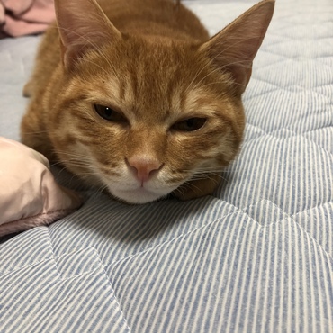 深堀歩実の写真