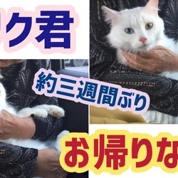 【4期生♡ﾘｸ】10/23宮城から帰宅