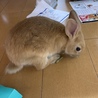 部屋んぽ中