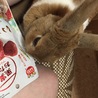 コーヒービーンズ