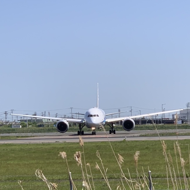 零戦のカバー写真