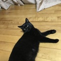 家族にしてください〜！#3