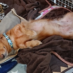 毎日なんだけどね（笑