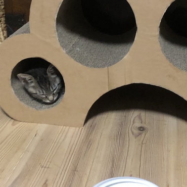 本日の寝床