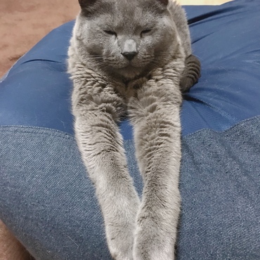 の写真