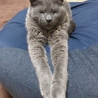 の写真