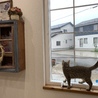の写真
