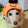の写真