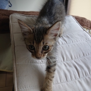 かわいい姉妹♪