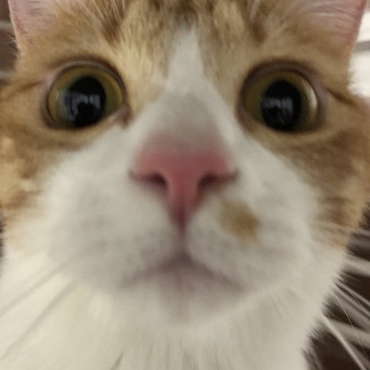 の写真
