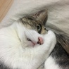 とらみゆう