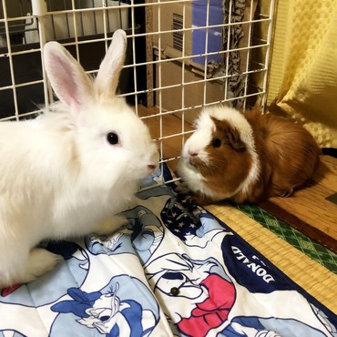 仲良しです(*`･ω･´)