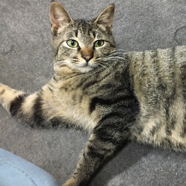 前一緒にいた子です
