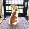 の写真