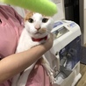 の写真
