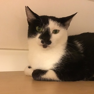 【ジャック】渋くて甘えん坊な男の子