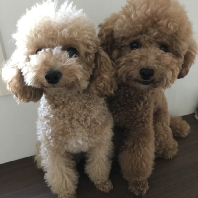 淳司のカバー写真