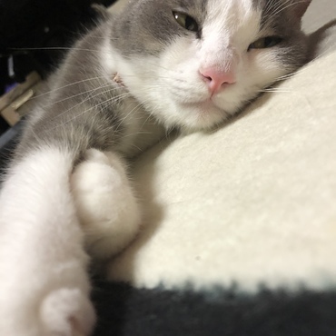 寒くなってきましたね！